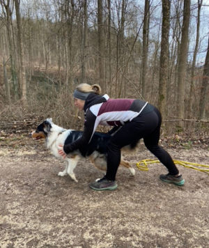 Fortgeschrittenentraining