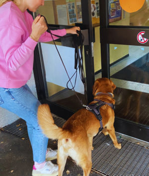 Fortgeschrittenentraining