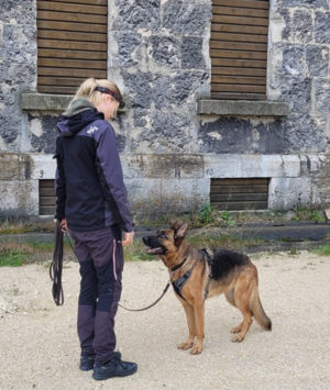 Fortgeschrittenentraining